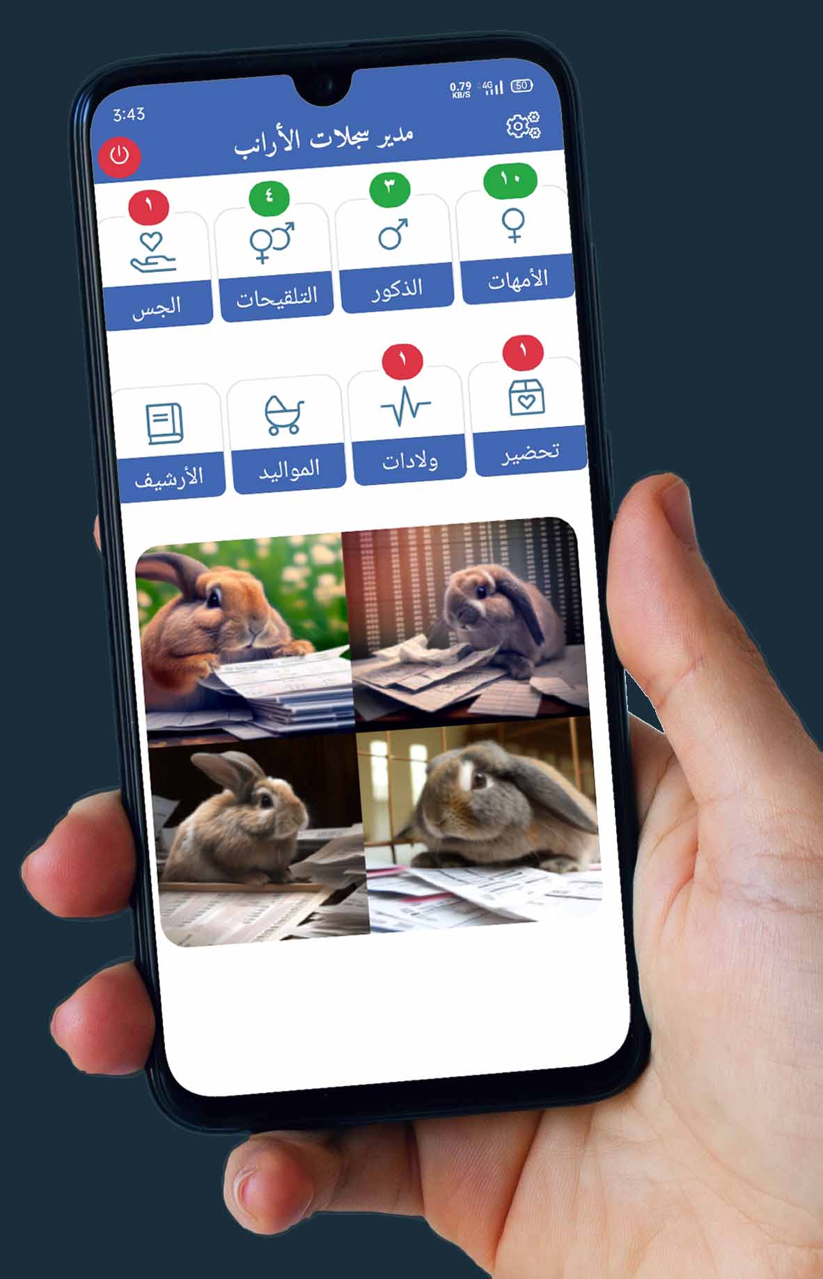 سجلات الأرانب